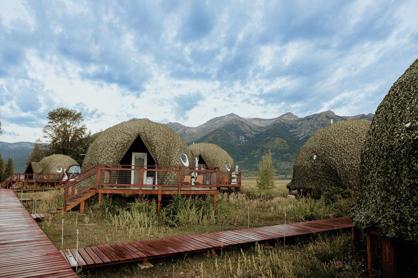 Tammah Jackson Hole Hotell Wilson Eksteriør bilde
